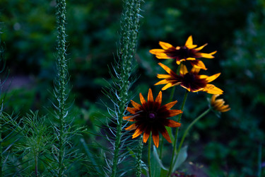 Similar image 1378215