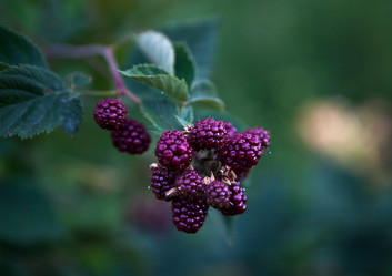 Similar image 1378217