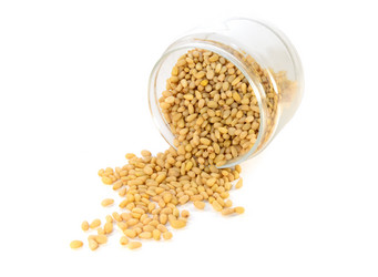 Similar image 1378260