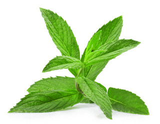 Similar image 1378268