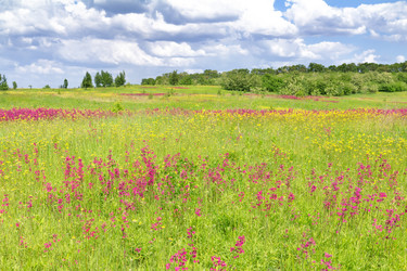 Similar image 1378302