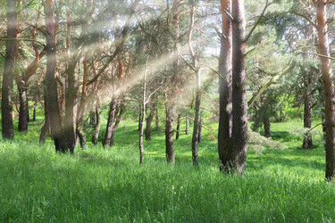 Similar image 1378305