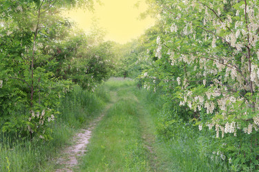 Similar image 1378314