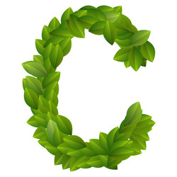 Similar image 1378652