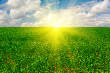 Similar image 1379110