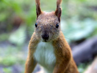 Similar image 1379155