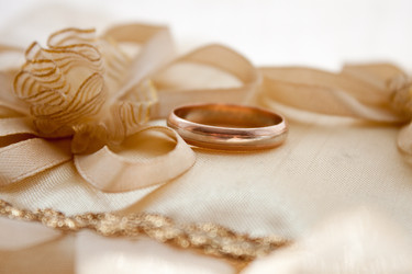 Similar image 1379254