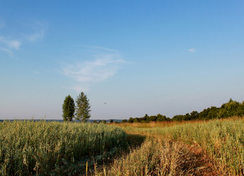 Similar image 1379258