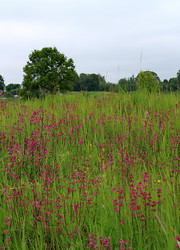 Similar image 1379259