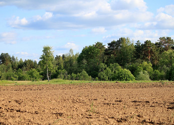 Similar image 1379260