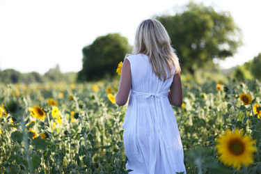 Similar image 1379377