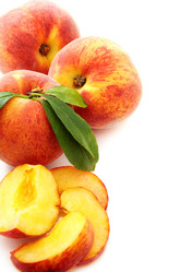 Similar image 1379632