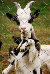 Similar image 1379664