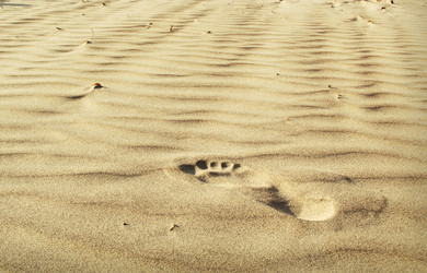 Similar image 1379665