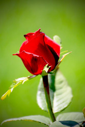 Similar image 1379687