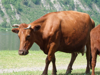 Similar image 1379825