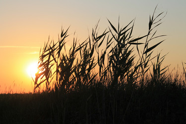 Similar image 1379908