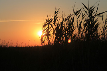 Similar image 1379911