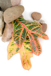 Similar image 1380006