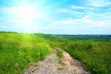 Similar image 1380010