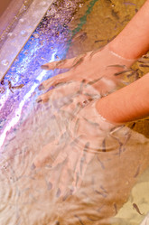 Similar image 1380038