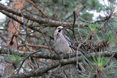 Similar image 1380045