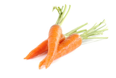 Similar image 1380080