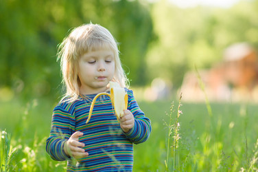 Similar image 1380088