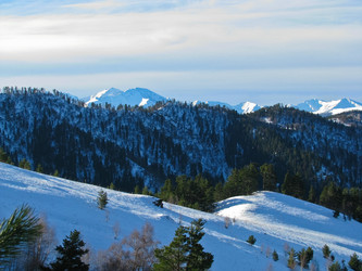 Similar image 1380116