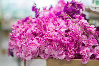 Similar image 1380163