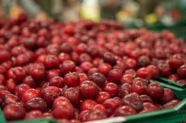 Similar image 1380171