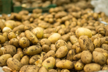 Similar image 1380173