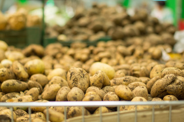 Similar image 1380174