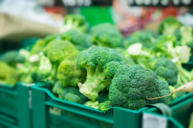 Similar image 1380178