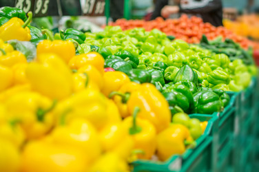 Similar image 1380182