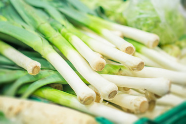 Similar image 1380183