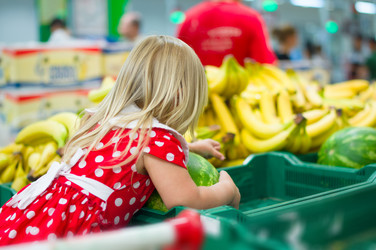 Similar image 1380240