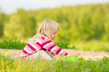 Similar image 1380371