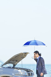 Similar image 1380474