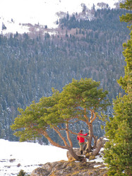 Similar image 1380596