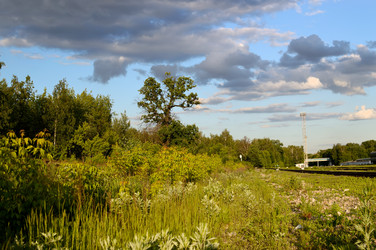 Similar image 1380602