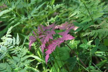 Similar image 1380645