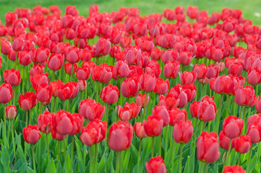 Similar image 1380647