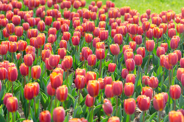 Similar image 1380649