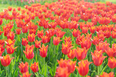 Similar image 1380650