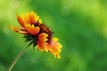 Similar image 1380665