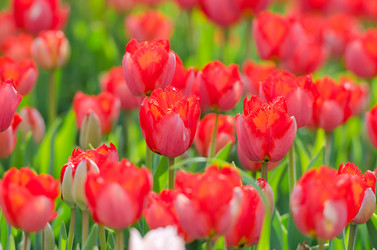 Similar image 1380671