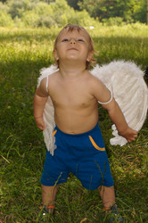 Similar image 1380677