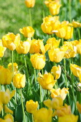 Similar image 1380732