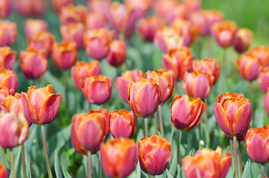 Similar image 1380733